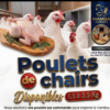 Vente de poulet