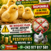 Poussins 1jour et préchauffé disponibles.